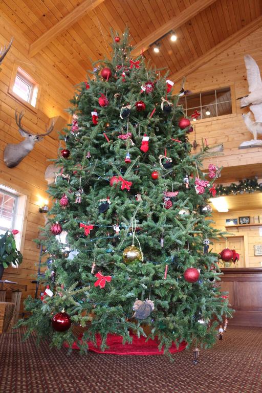 Range Country Lodging image 9